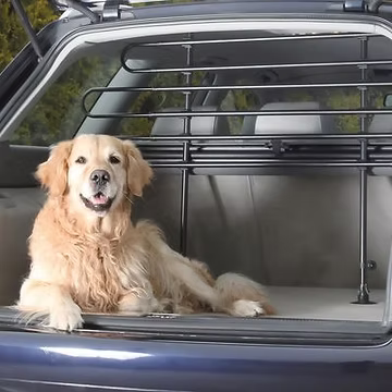 Transporter son chien en voiture en toute sécurité