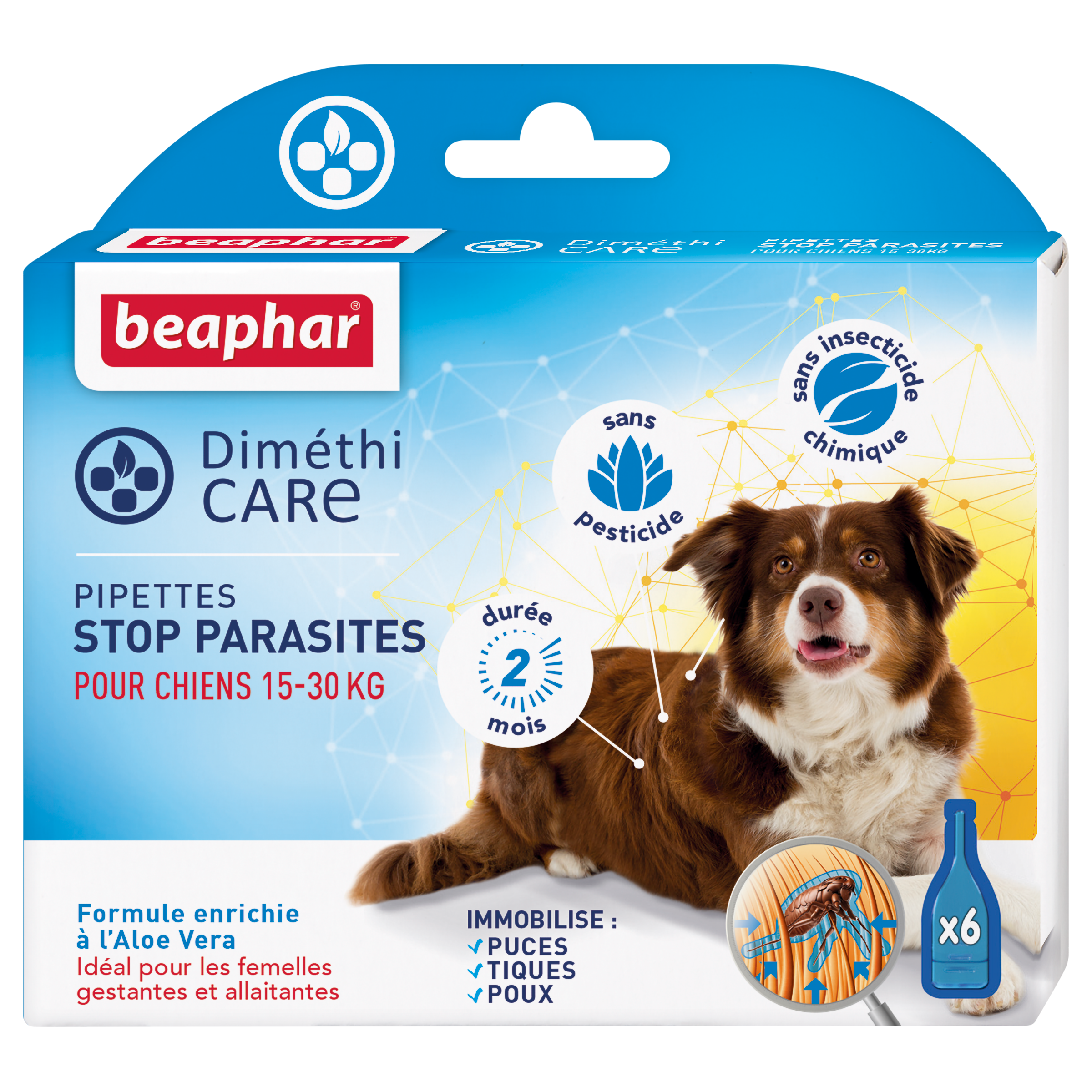 antiparasitaire pour chien