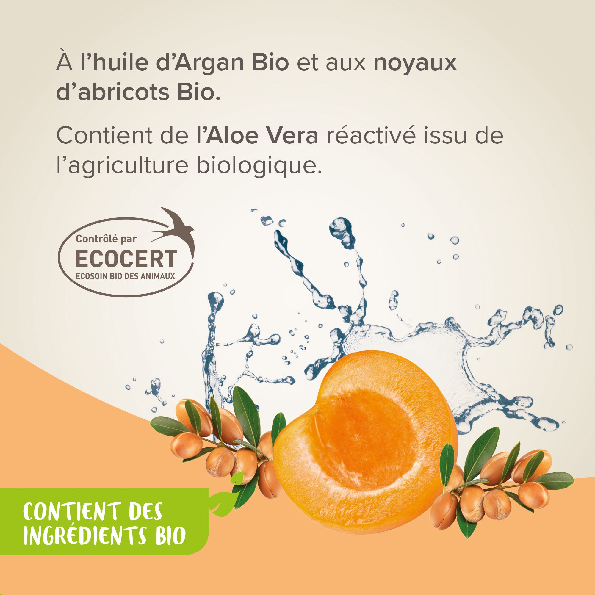 Shampoing Démêlant 2 en 1 ECOCERT pour chien - 200 ml - BEAPHAR