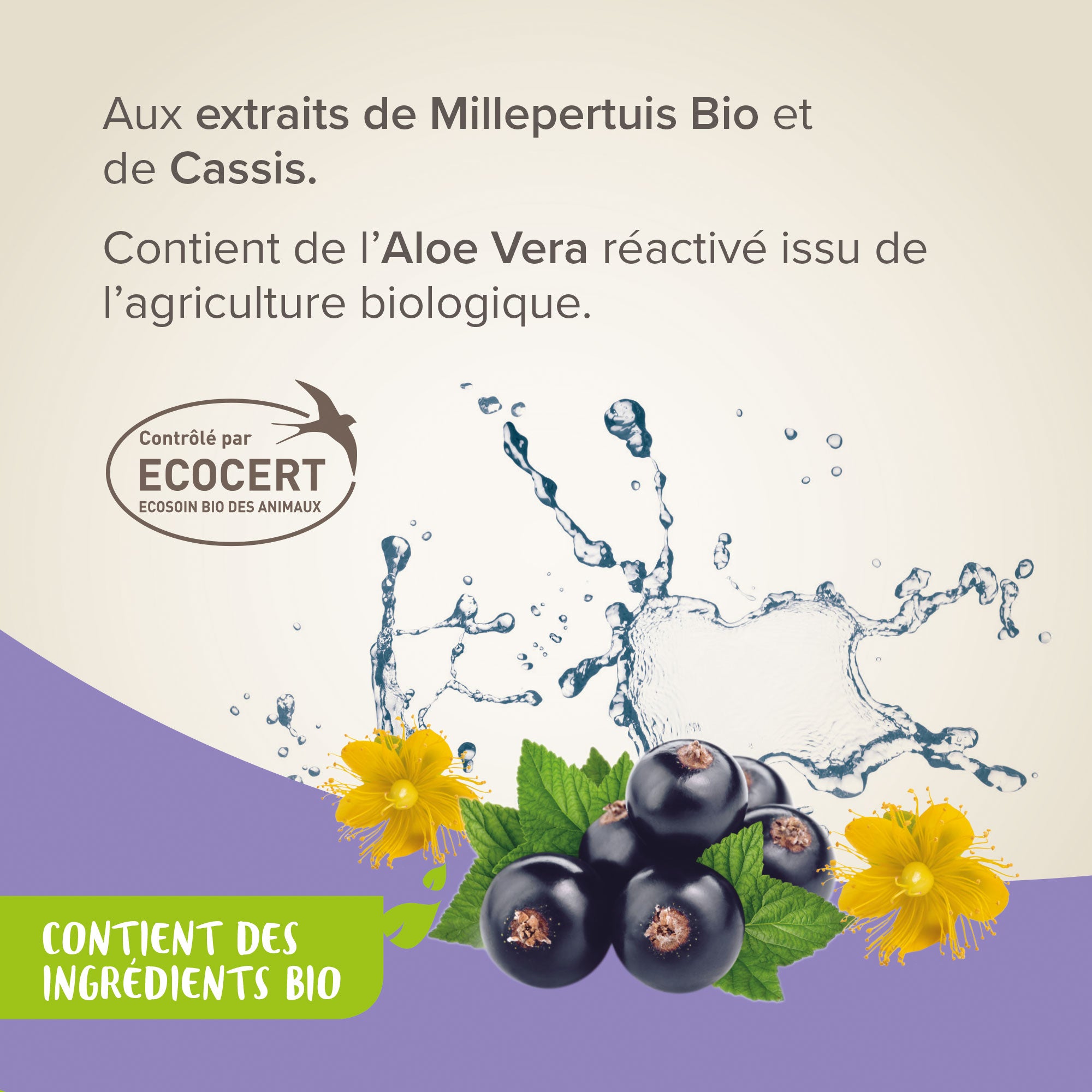 Shampoing anti démangeaisons ECOCERT 200 ml - BEAPHAR