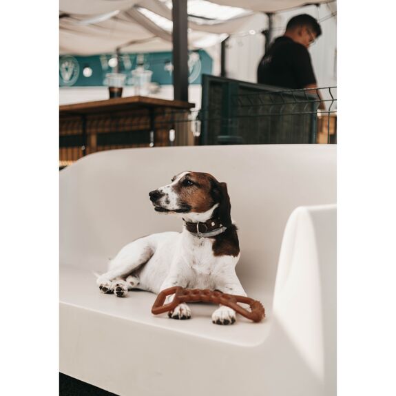 "Tirer à la corde" en résine naturelle pour chien