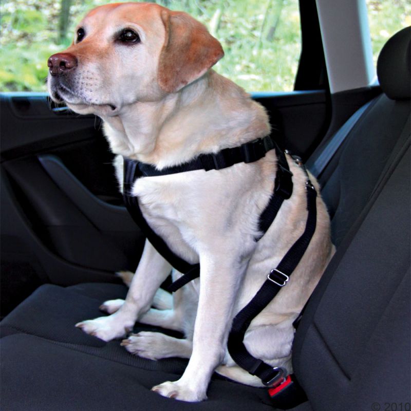 Trixie- Kit harnais sécurité voiture pour chiens