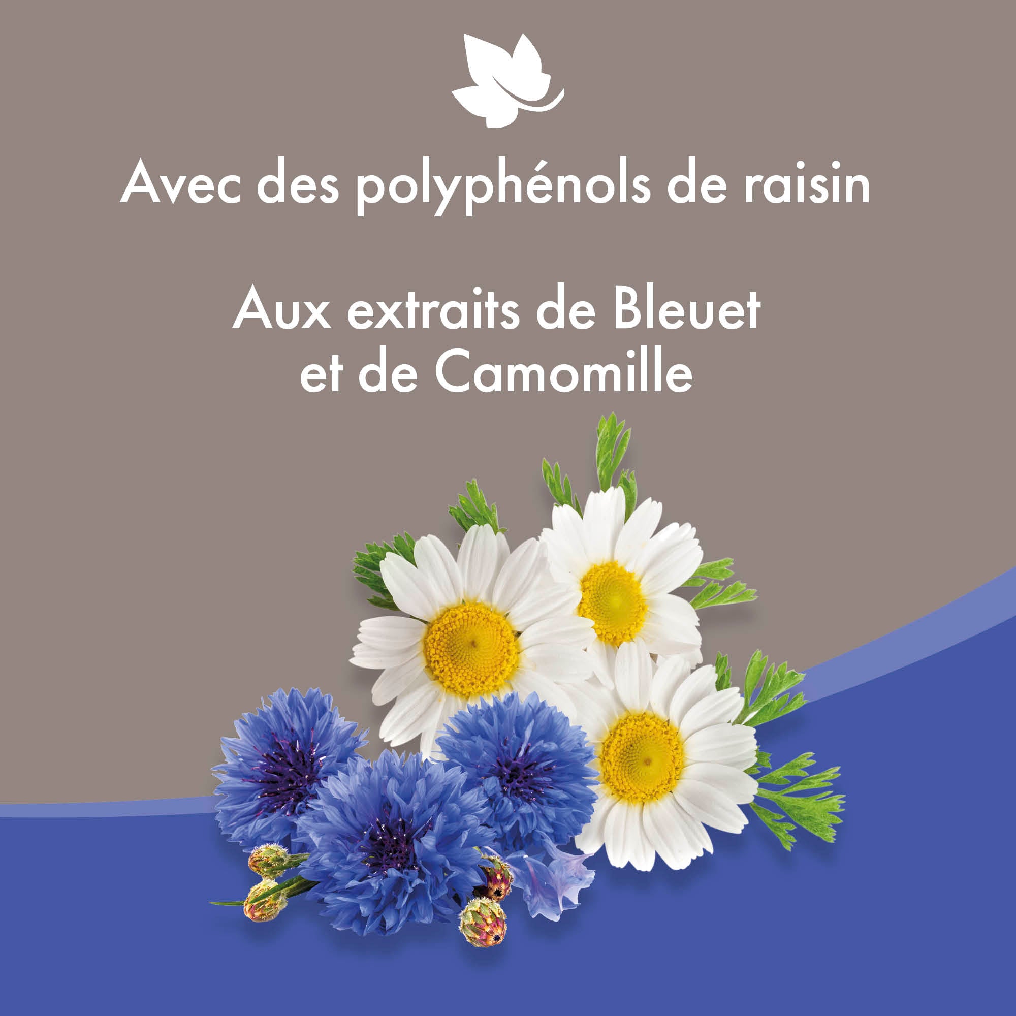 Lotion nettoyante yeux pour chien et chat - BEAPHAR