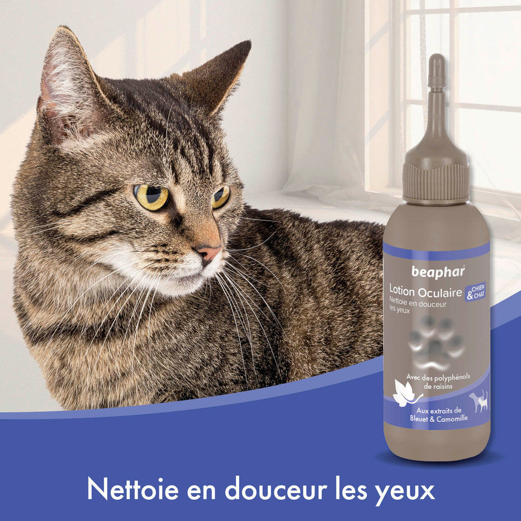 Lotion nettoyante yeux pour chien et chat - BEAPHAR