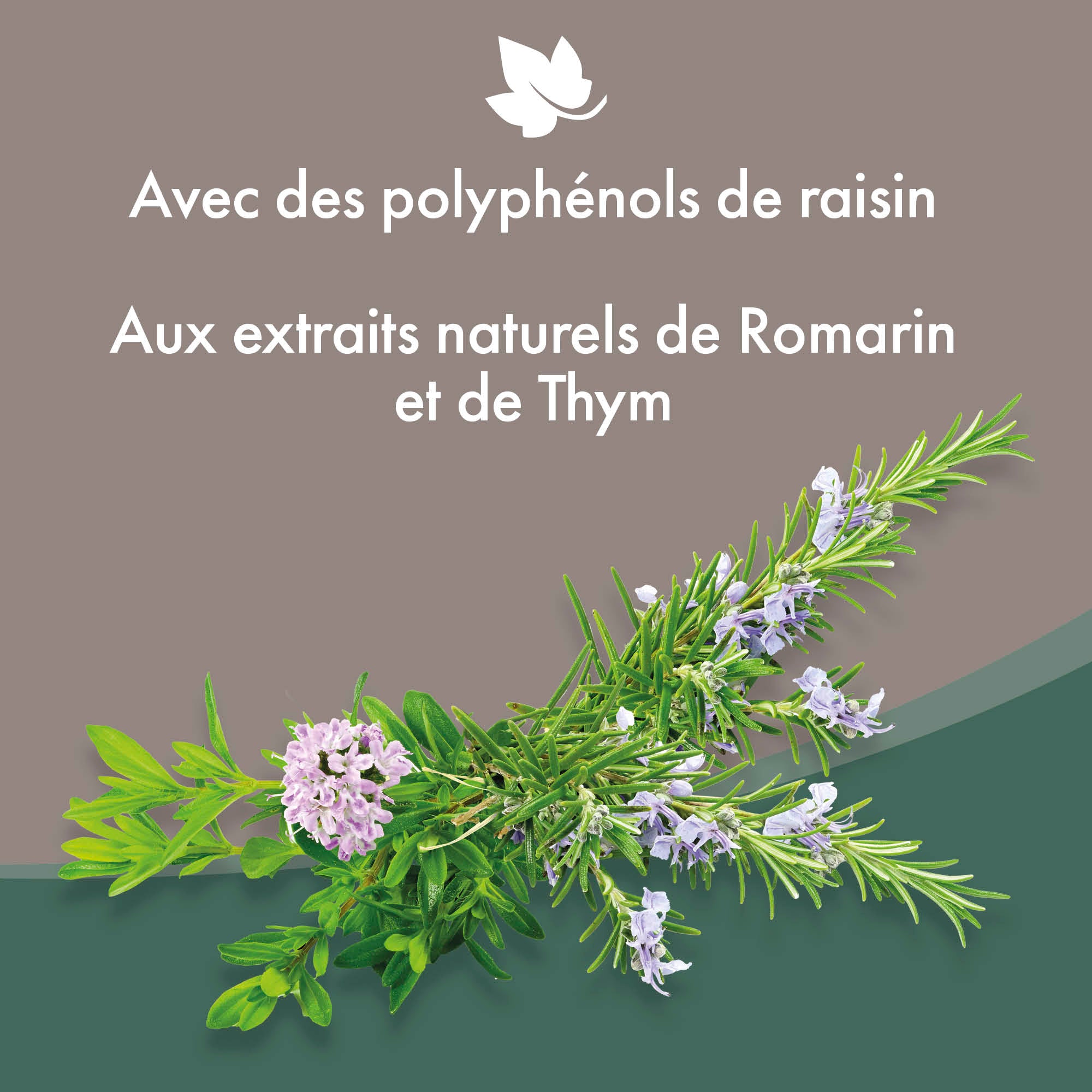 Lait nettoyant pour les oreilles des chiens et chats - 125 ml - BEAPHAR