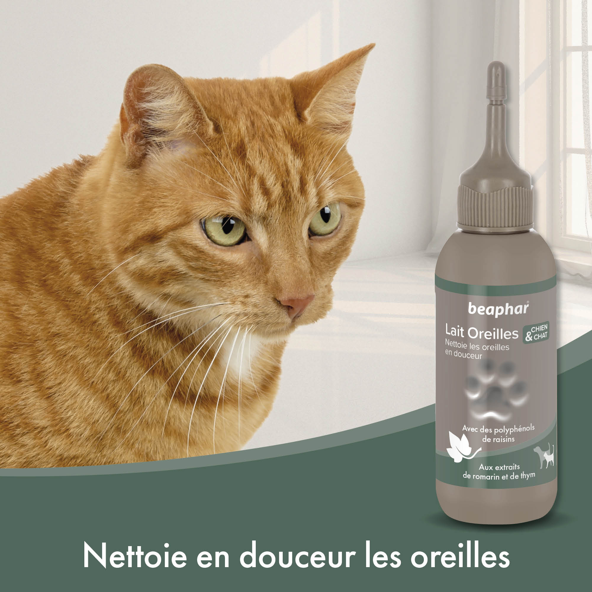 Lait nettoyant pour les oreilles des chiens et chats - 125 ml - BEAPHAR