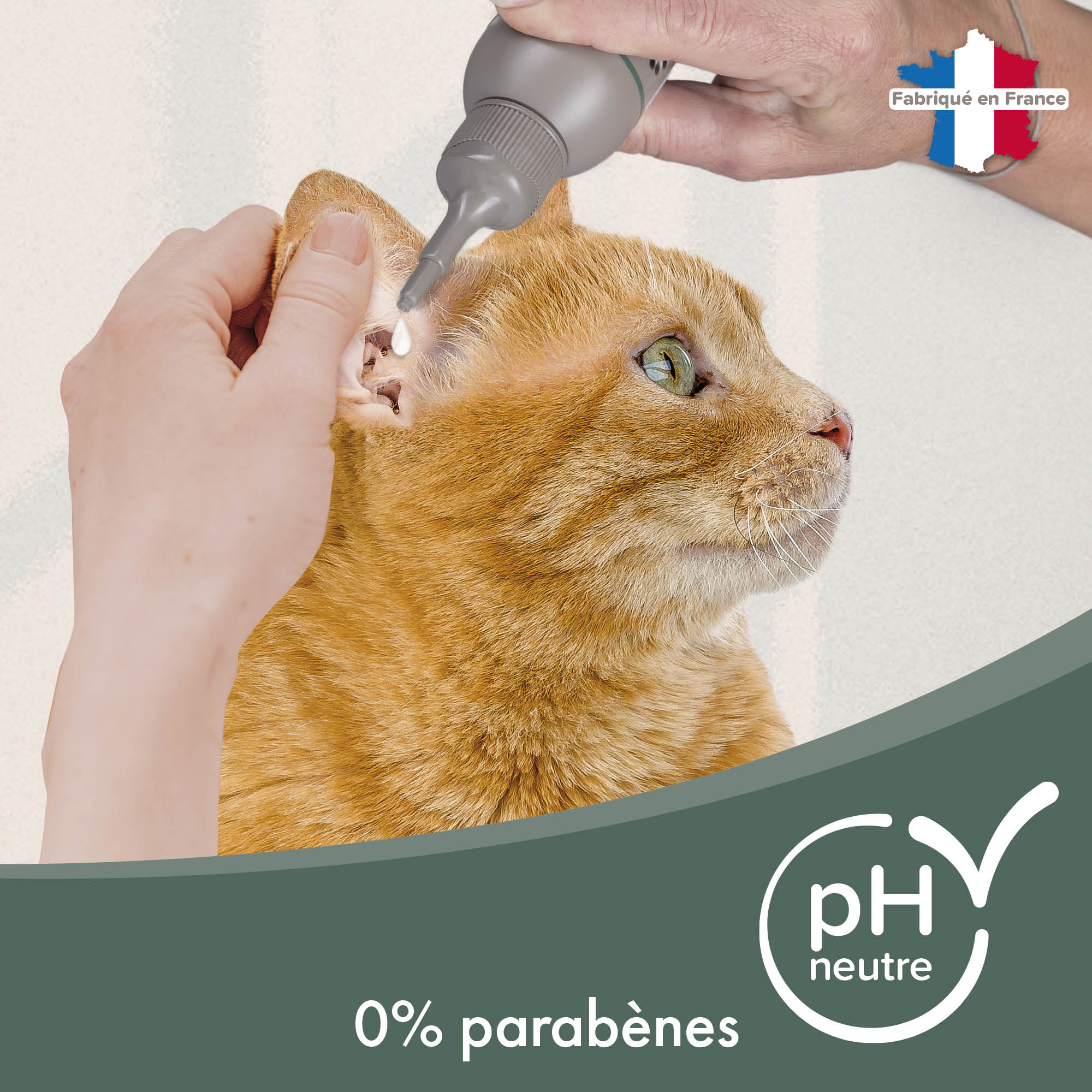 Lait nettoyant pour les oreilles des chiens et chats - 125 ml - BEAPHAR