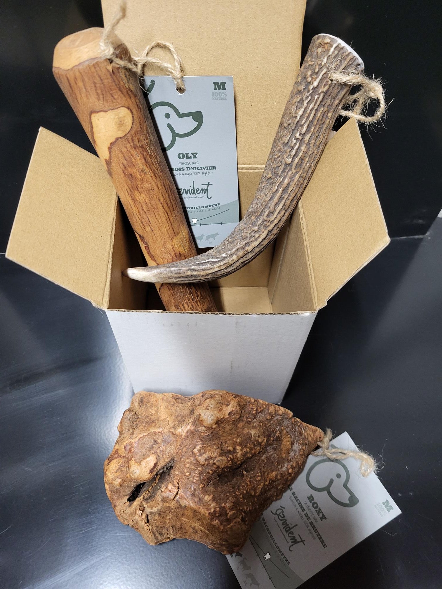 BOX de mastication pour chien "Dans les bois"