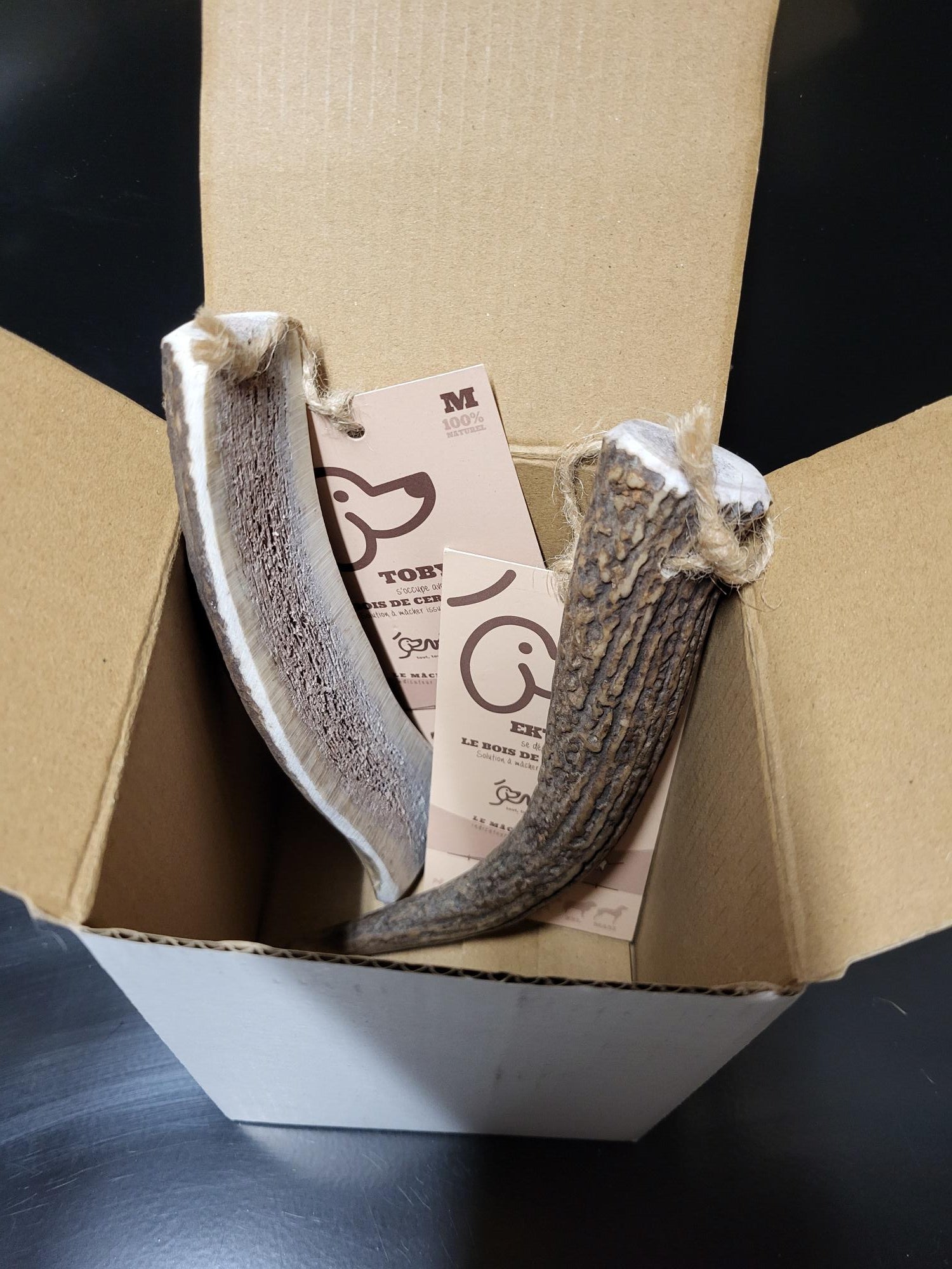 BOX de mastication pour chien "Où sont les cerfs"