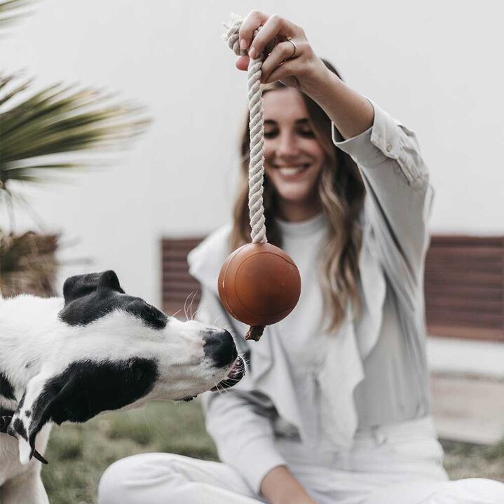 Balle en résine organique naturelle avec corde pour chien