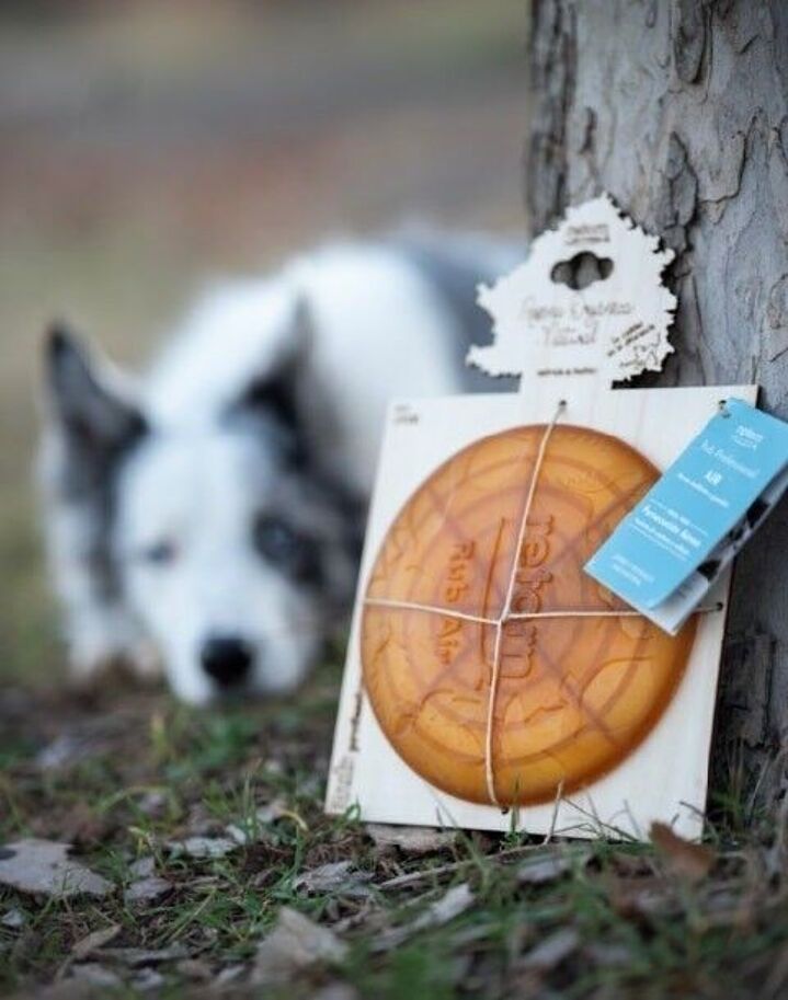 Frisbee pour chiens en résine organique naturelle
