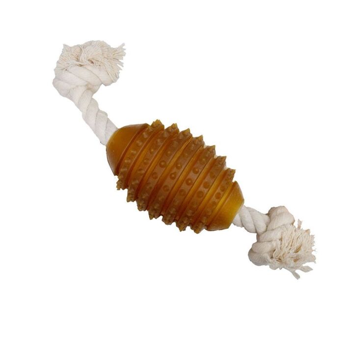 Jouet dentaire en résine organique naturelle avec corde pour chien