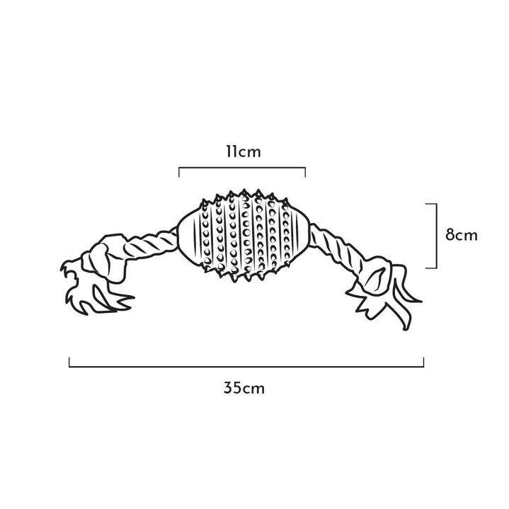 Jouet dentaire en résine organique naturelle avec corde pour chien