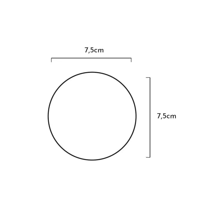 Balle dure en résine organique naturelle pour chien