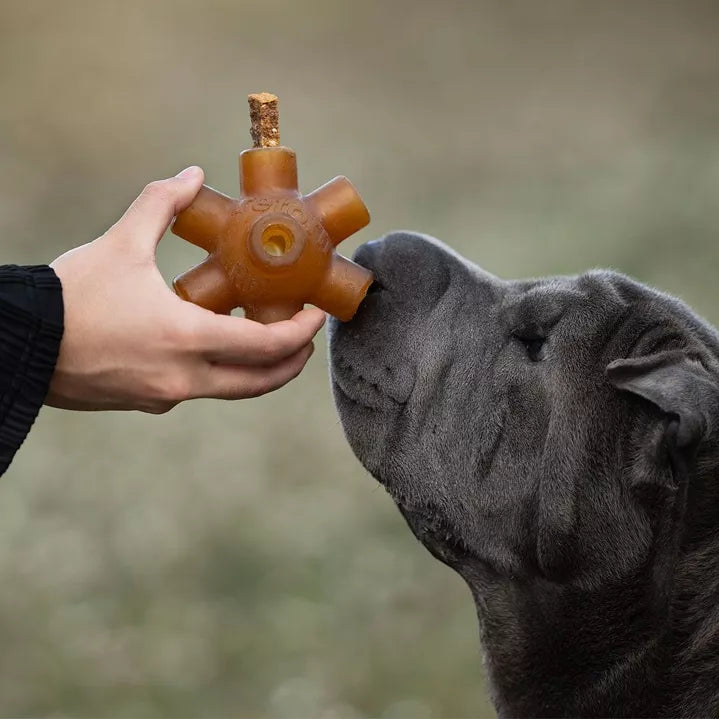 Sticks dentaires à la dinde pour chiens - Taille moyenne