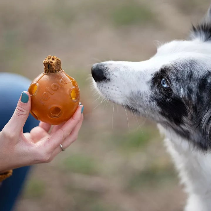 Balle à trous pour chien en résine organique naturelle