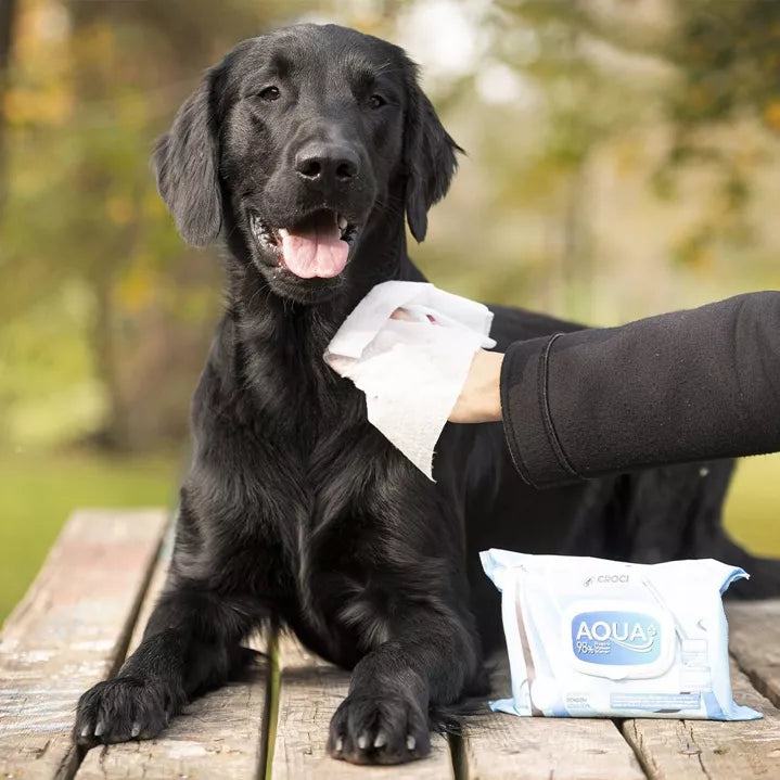 Lingettes humides peaux sensibles pour chien et chat