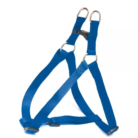 Harnais baudrier bleu pour chien