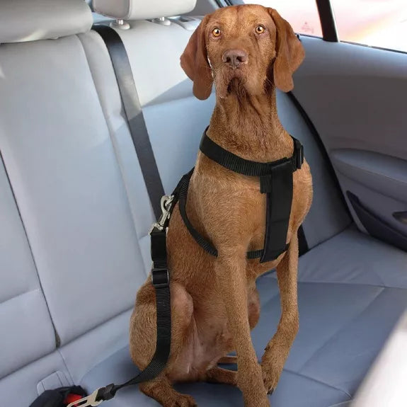 Harnais et ceinture de sécurité pour chien en voiture - 30-60cm