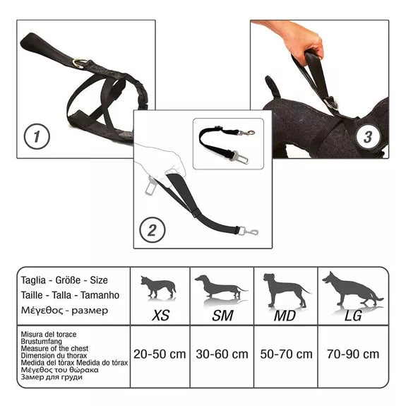 Harnais et ceinture de sécurité pour chien en voiture - 30-60cm