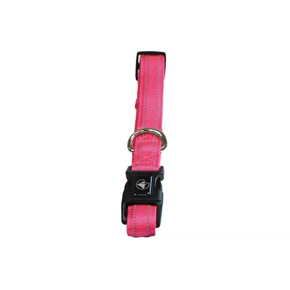 Collier Nylon Fuschia pour chien