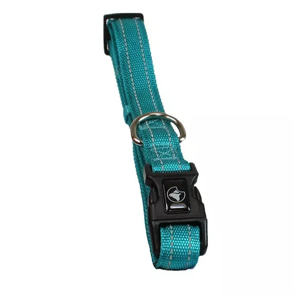 Collier ajustable Bleu Azur pour chiens