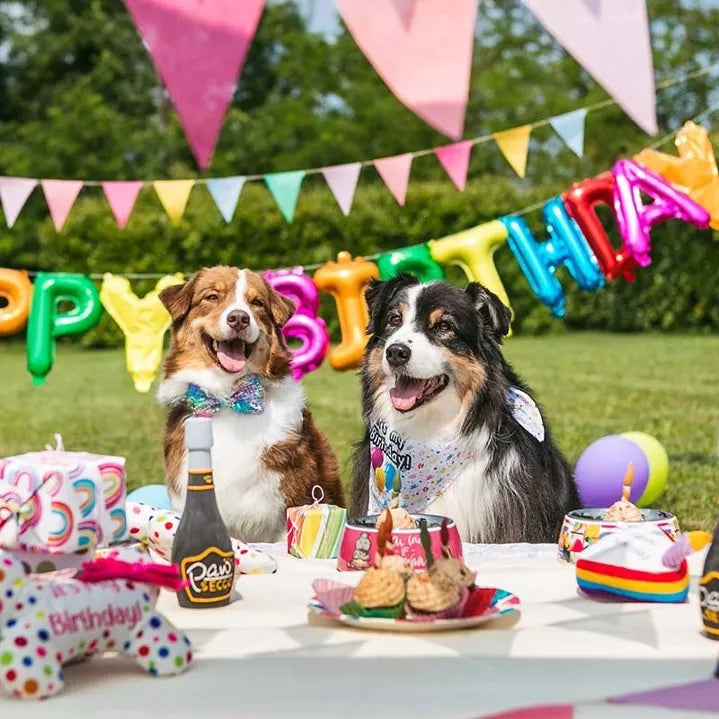 Bougies d'anniversaire pour chien - 4 pcs - Croci