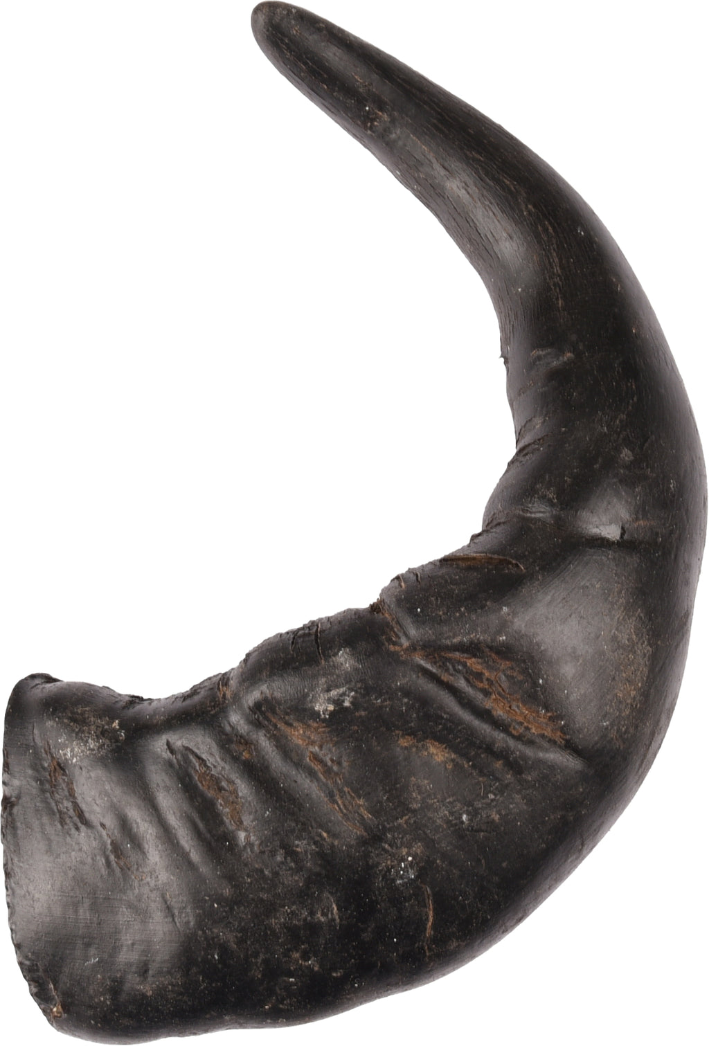 Corne de buffle pour chien FLAMINGO