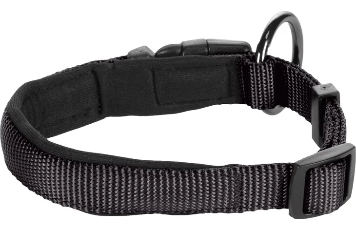 Collier confort noir pour chien avec boucle à clic FLAMINGO