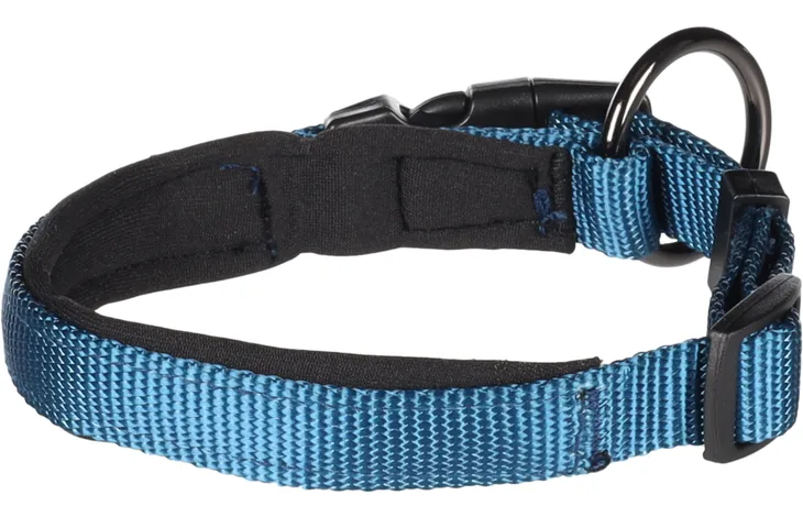 Collier confort Bleu pour chien avec boucle à clic FLAMINGO