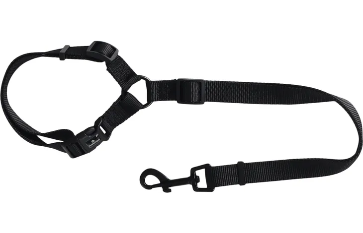 Laisse de voiture pour chien - Flamingo