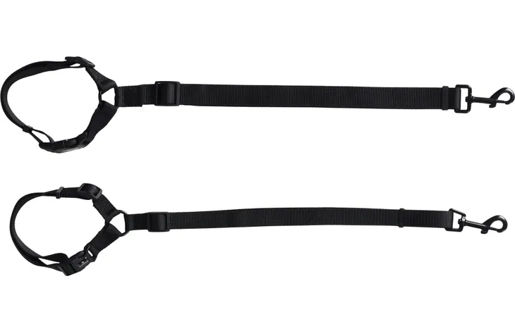 Laisse de voiture pour chien - Flamingo