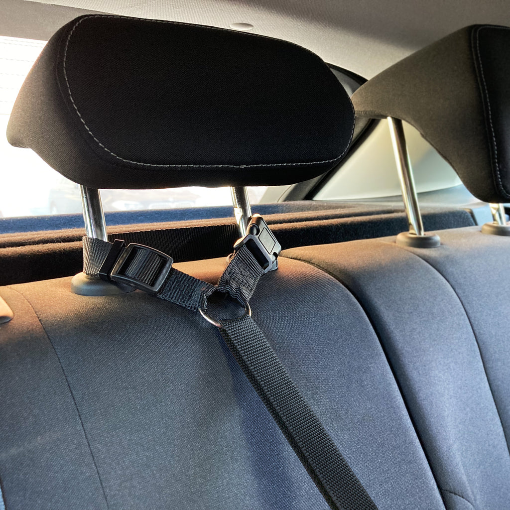 Laisse de voiture pour chien - Flamingo