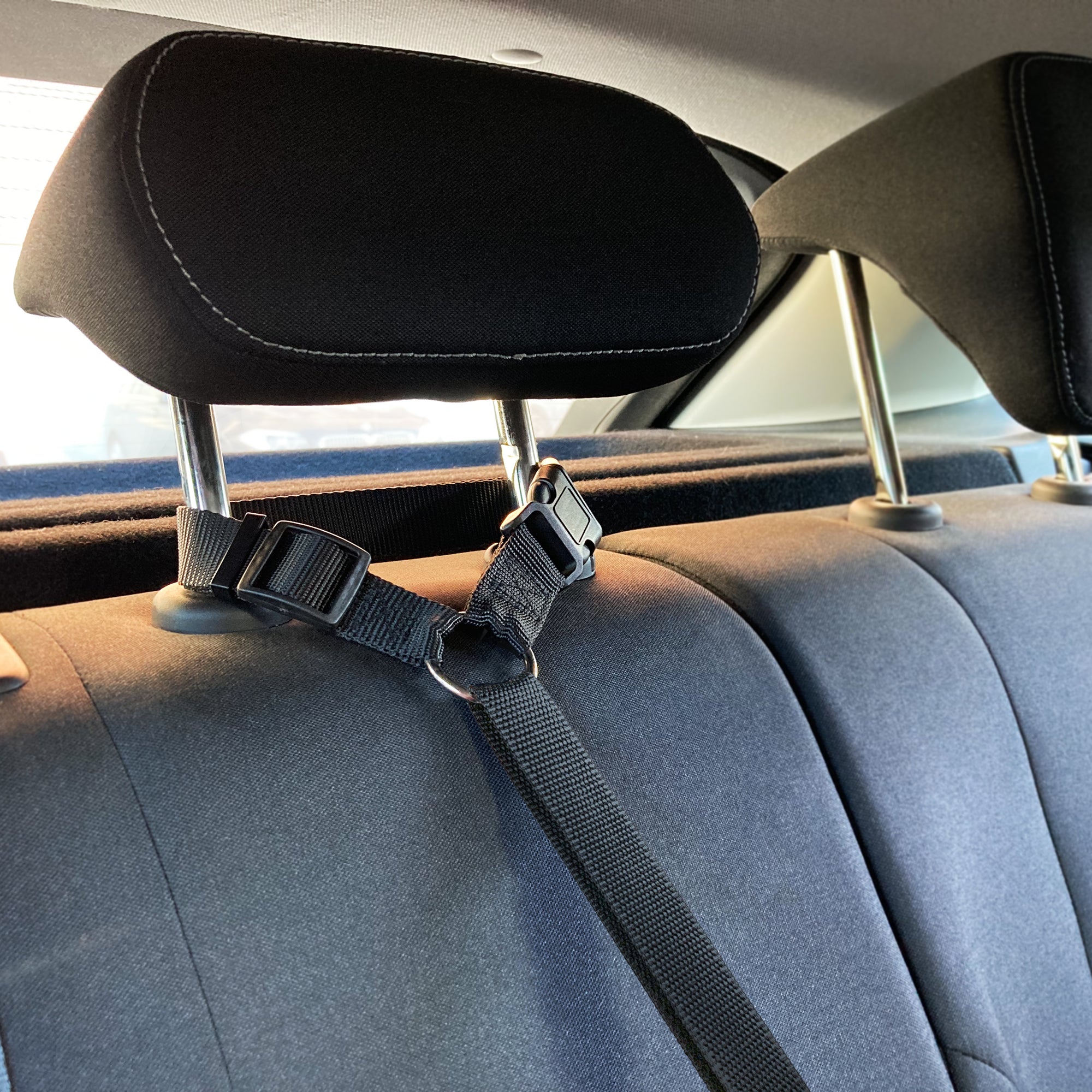 Laisse de voiture pour chien - Flamingo