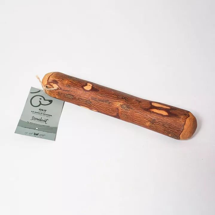 Bois d'olivier pour chiens