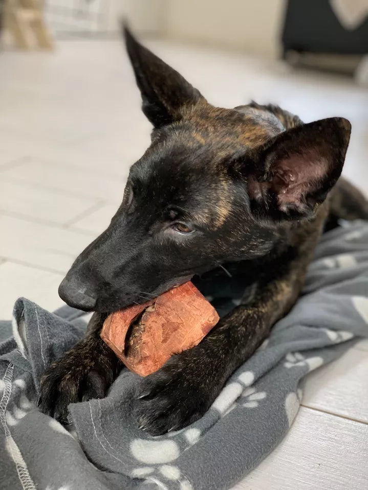 Racine de bruyère à mâcher pour chiens