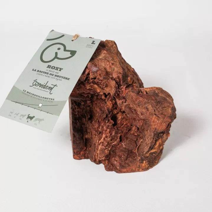 Racine de bruyère à mâcher pour chiens