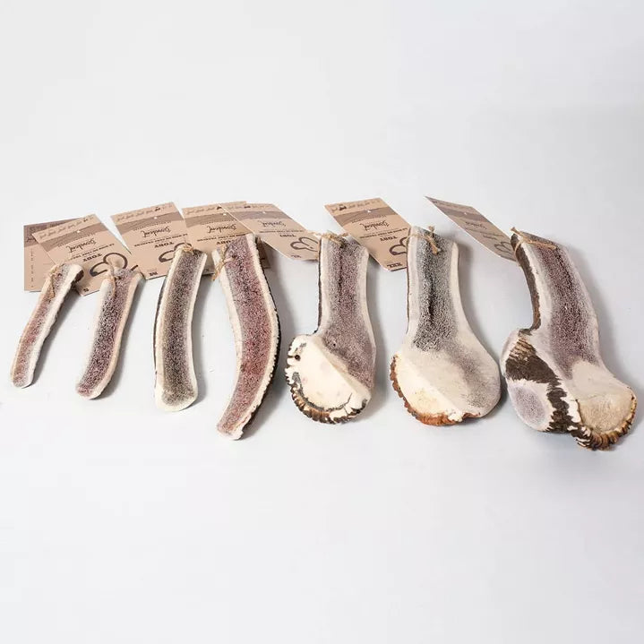 Bois de cerf tranché pour chiens