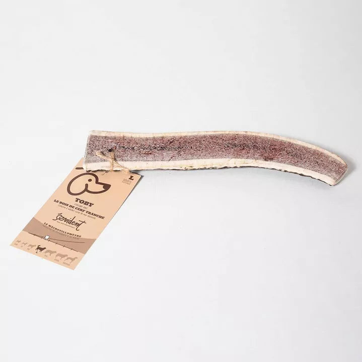 Bois de cerf tranché pour chiens