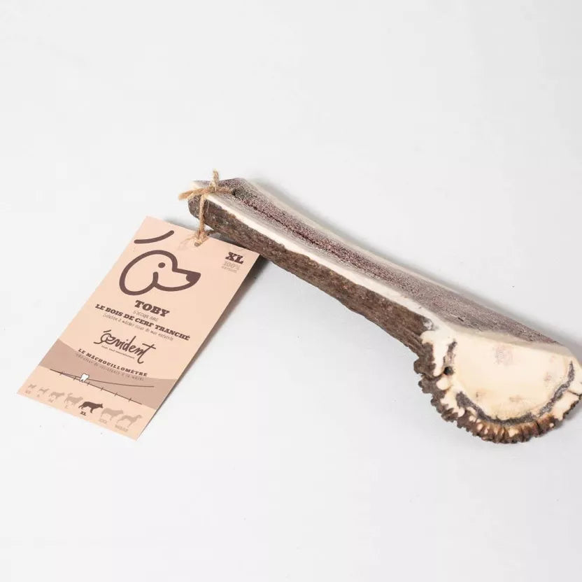 Bois de cerf tranché pour chiens