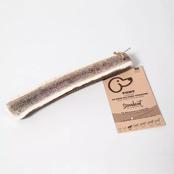 Bois de cerf tranché pour chiens