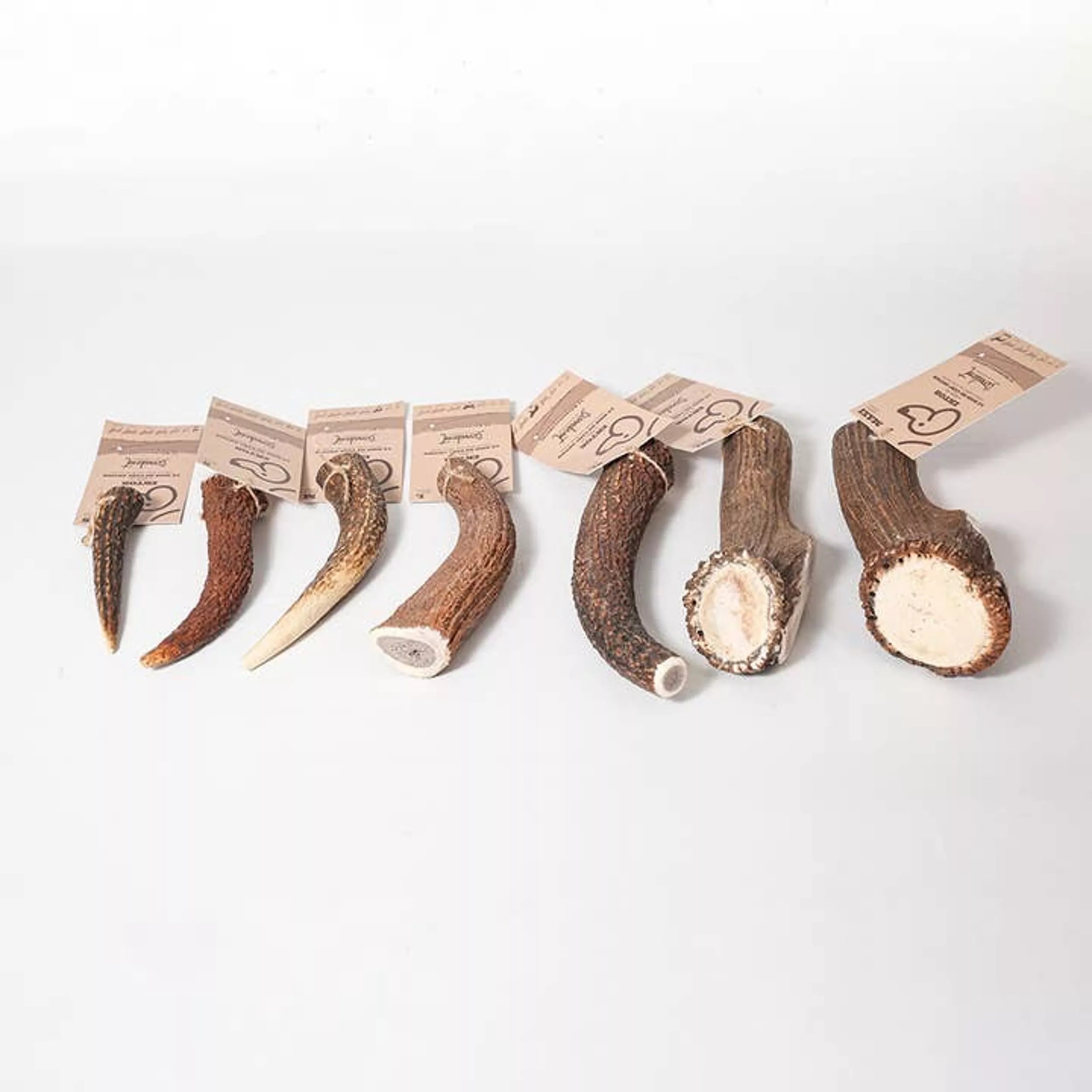 Bois de cerf entier pour chiens