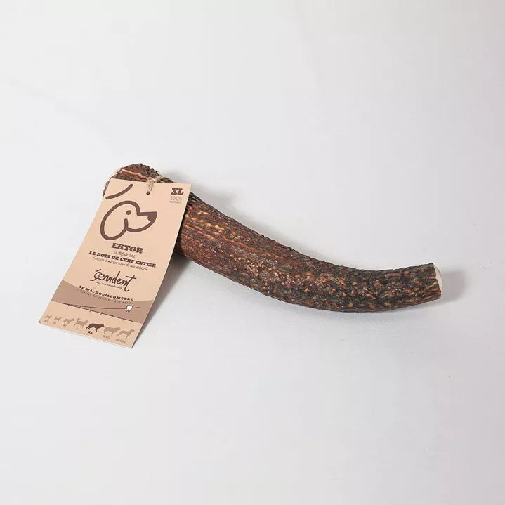 Bois de cerf entier pour chiens