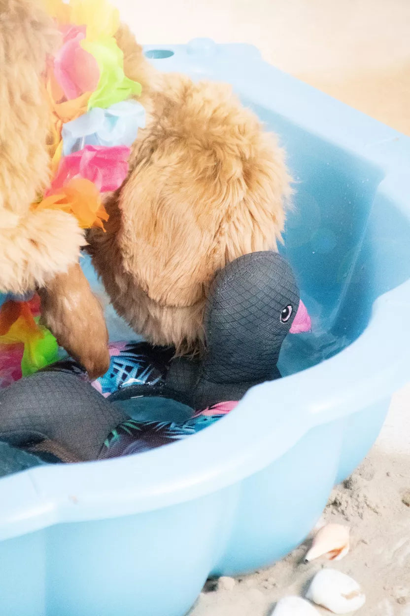 Canard rafraîchissant pour chien CoolPets Ring O'Ducky Flamingo