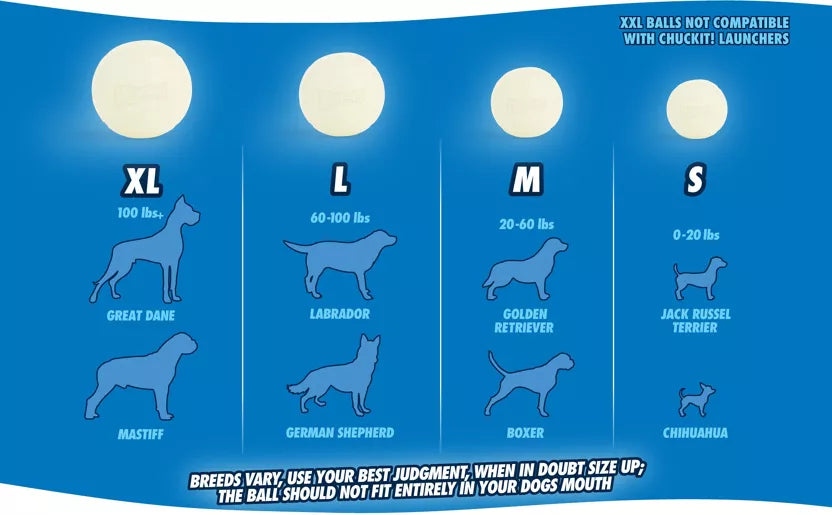 Balle lumineuse pour chien Chuckit! Max Glow