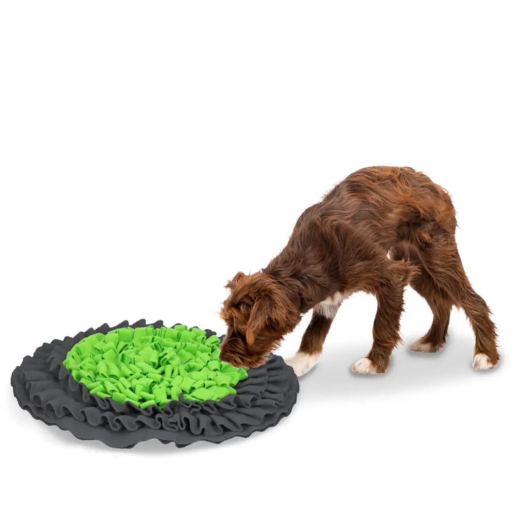 Tapis à renifler chien - Tapis de fouille vert