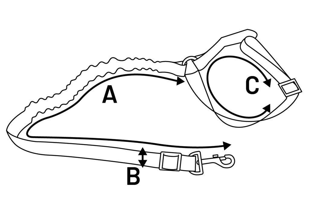 Laisse de voiture pour chien - Flamingo