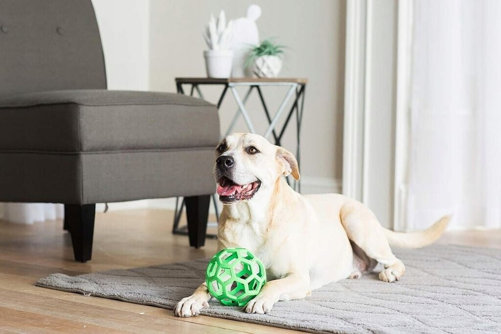 Balle pour chien JW Hol-ee Roller Vert - Jouet flottant et rebondissant