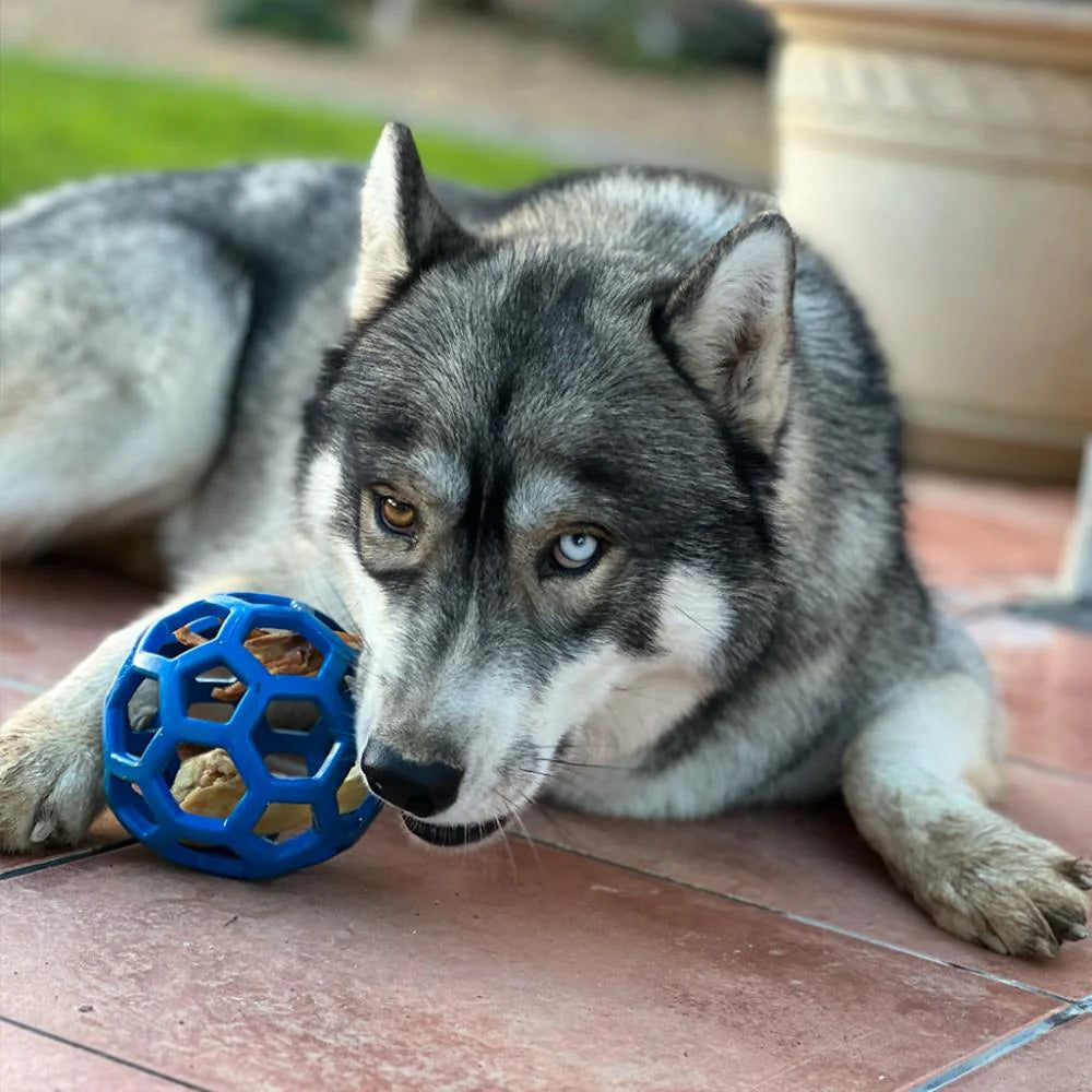 Balle pour chien JW Hol-ee Roller Bleu - Jouet multifonction