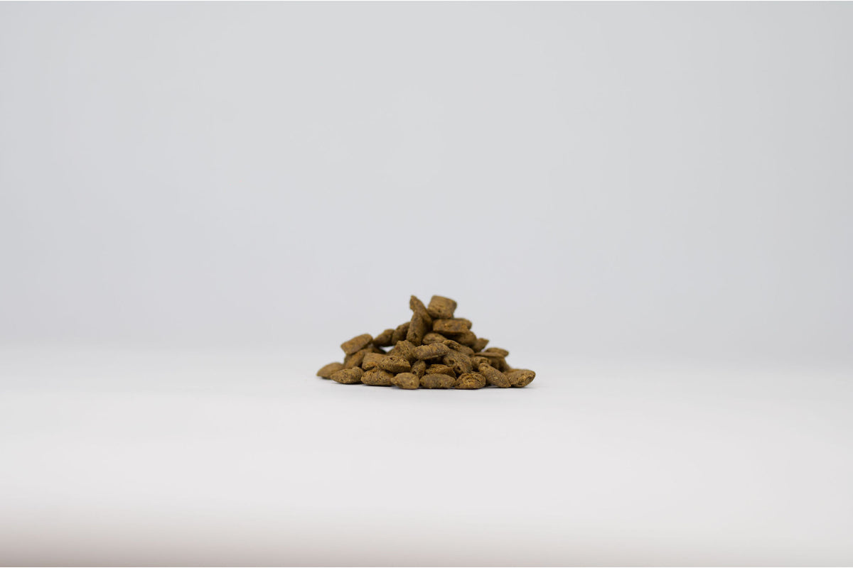 Friandises feuilletés de poisson pour chien et chat